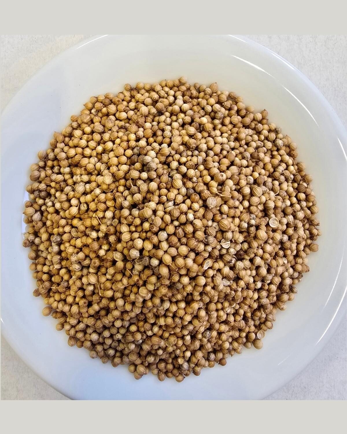 Coriander Seeds — out of the pack