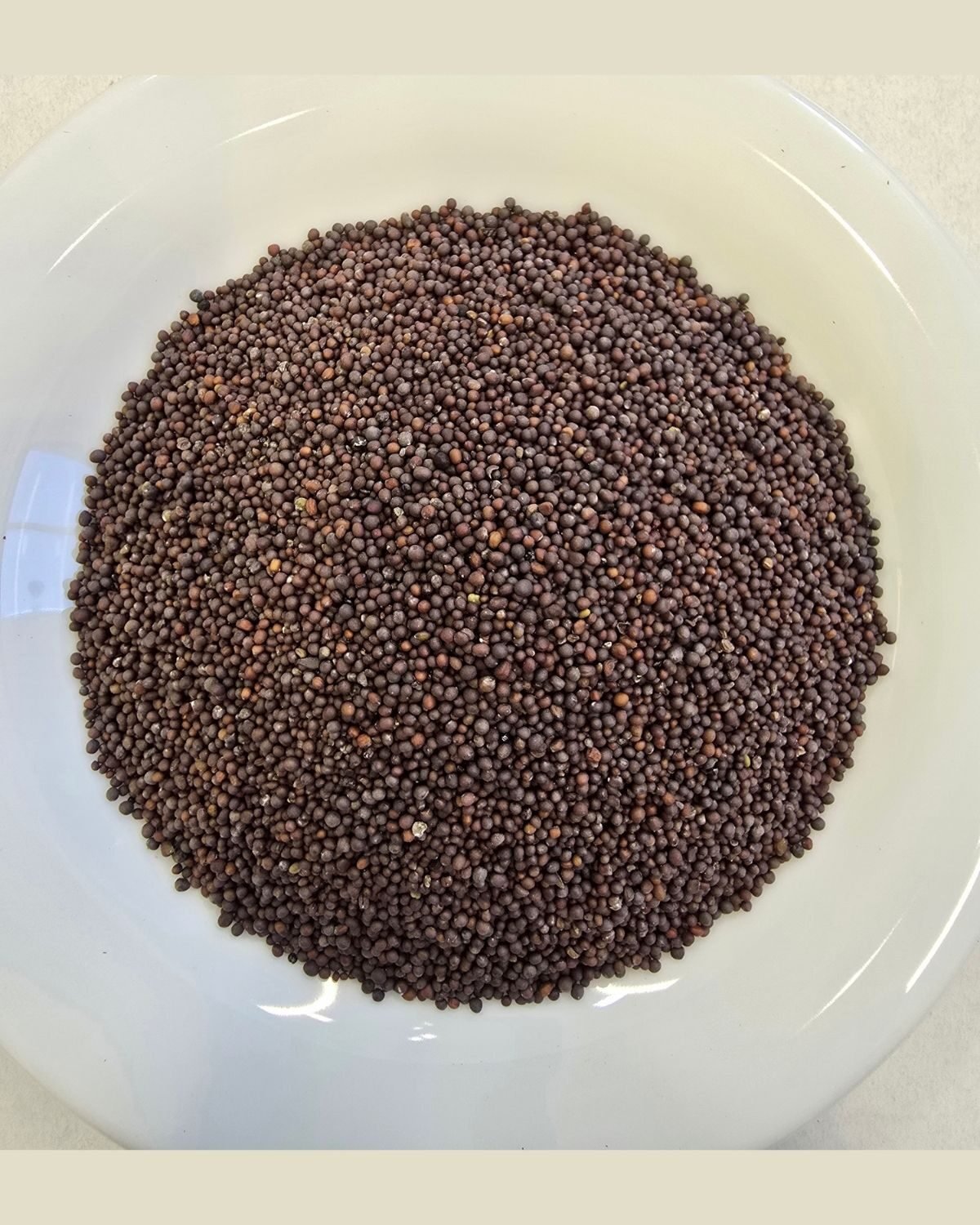 Mustard Seeds — out of the pack