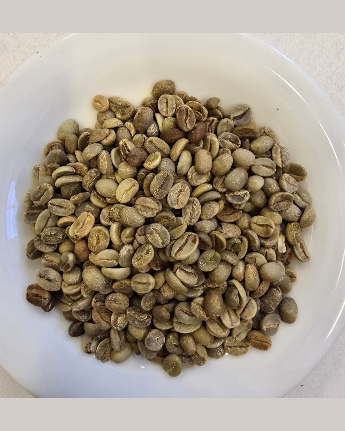 Raw Coffee Beans — Arabica — out of the pack