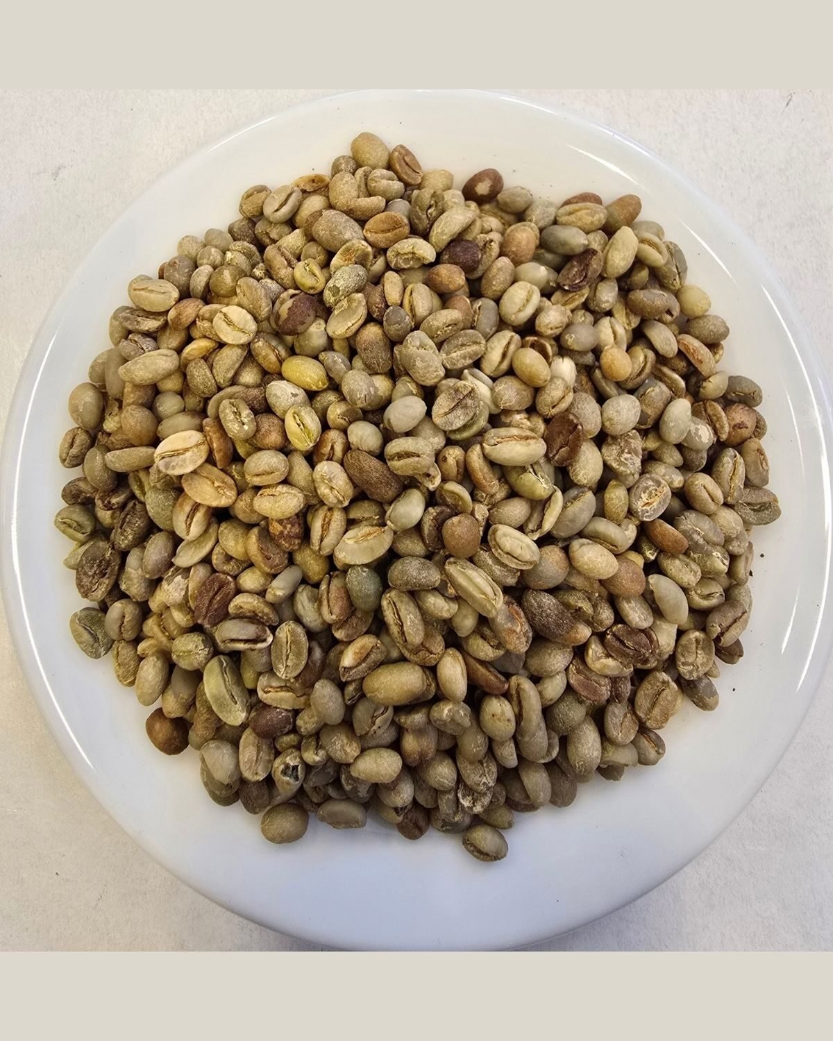 Raw Coffee Beans — Robusta — out of the pack