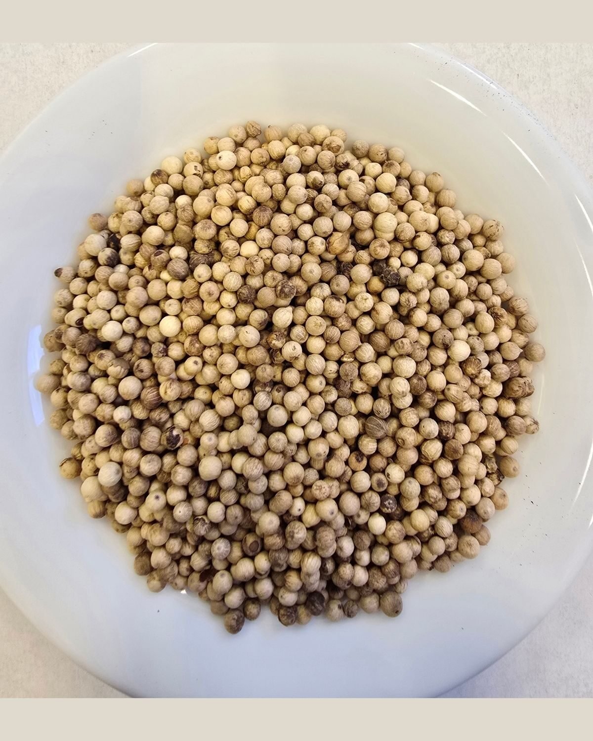 White Pepper Seeds — out of the pack